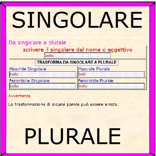 Singolare e plurale 1.2 Icon