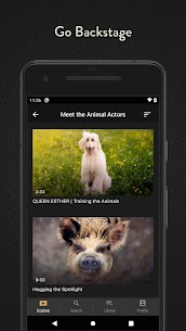 Sight & Sound TV Mod Apk (Free purchase) 4