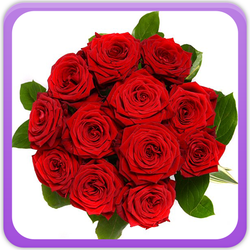Roses Gallery logo