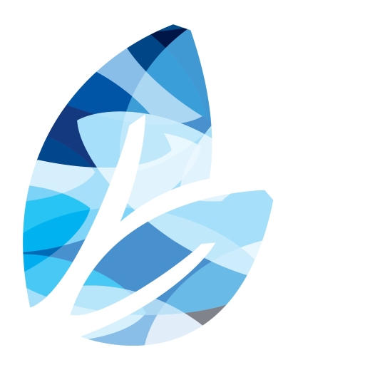 Vidanova Mobile Banking logo