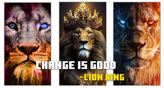 Lion Wallpapers HD 4K