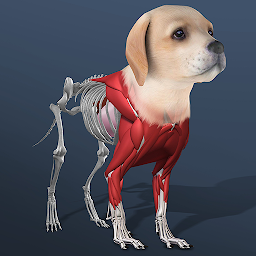 Idle Pet - Create cell by cell Mod Apk