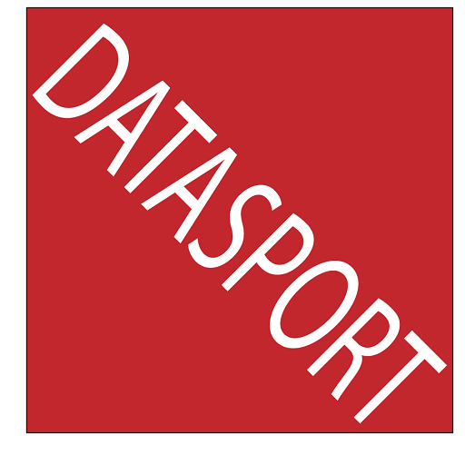 Datasport  Icon