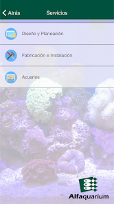 Imagen de la captura de pantalla