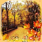 Cover Image of Tải xuống Autumn Streets Live Wallpaper 1.6 APK