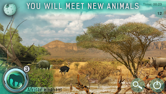 Game screenshot Hidden Animals: Photo Hunt mod apk