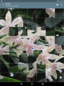 Captura de Pantalla 23 Rompecabezas: Flores android