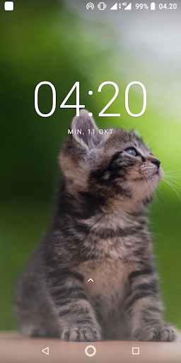 Cat Wallpapers Screen 2