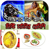 চাটনঠর রেসঠপঠ - Chatni Recipe icon