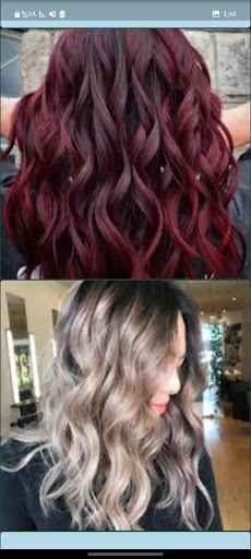 Offline hair dye Screen 3