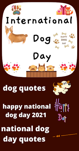 Download International Dog Day Free For Android International Dog Day Apk Download Steprimo Com