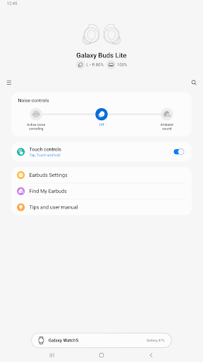 Screenshot of Galaxy Buds FE Manager