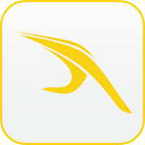 Yellow Pages Local Search icon