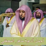 Cover Image of Download أجمل أدعية الشيخ ماهر المعيقلي  APK