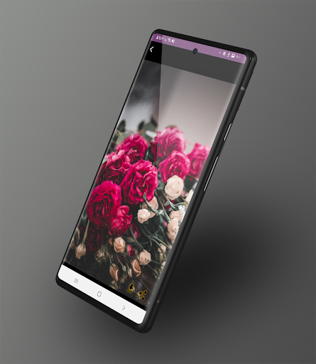 خلفيات ورود : صور ورد وفل Screen 2