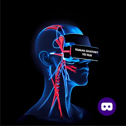 Human Anatomy VR Hub  Icon