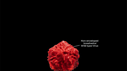 Turning Genes into Medicine Screen 3