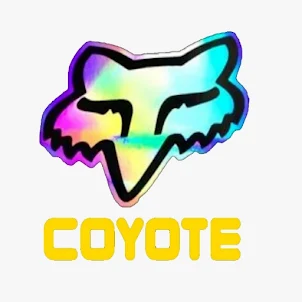 Coyote VPN