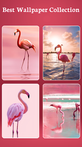 HD Flamingo Bird Wallpaper Screenshot 3 - AppWisp.com