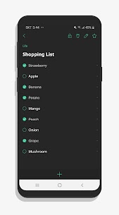 BlackNote Notepad Notes v7.2.2 Ad-Free Mod 2