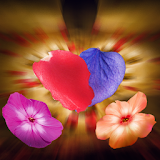 Falling Petals 3D Live Wallpaper icon