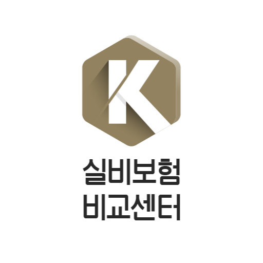 실비보험 추천 실버 전환 해지 변경 통풍 병원 소파수술 logo