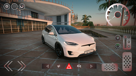 Model X: Electro Cars Tesla
