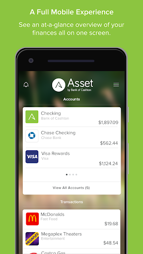 Asset Screen 3
