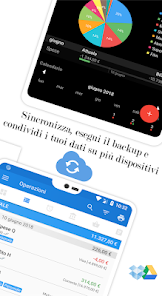 Immagine screenshot