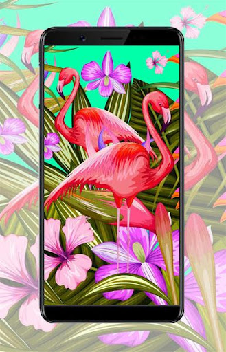 Android application Flamingo Pink Wallpaper screenshort