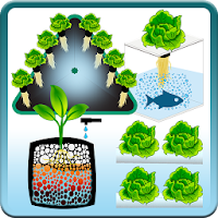 Tech Hydroponic  - Técnicas Hidropónicas