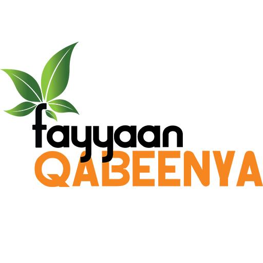 Fayyaan Qabeenyaa Download on Windows