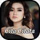 Lagu Cita Citata Tebaik 2021 ดาวน์โหลดบน Windows