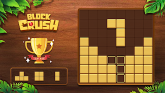 Game screenshot Block Crush! mod apk