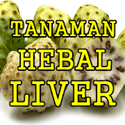 Ramuan Herbal Liver Yang Paling Ampuh Dan Manjur