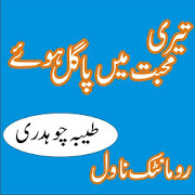 Teri Mohabbat Mein Pagal Hoye Urdu Novel