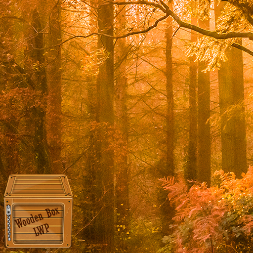 enchanted forest wallpaper logo