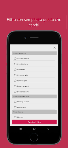 AMAFLORA Screen 3