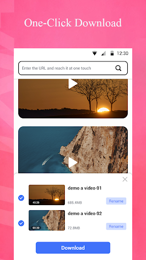 Video Downloader Express Screen 2
