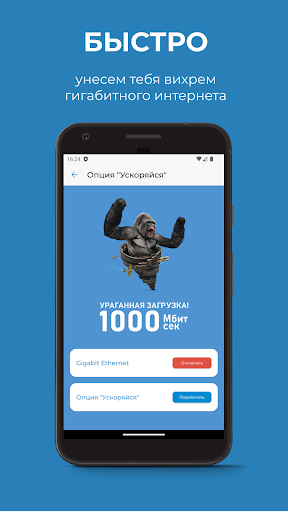 Личный кабинет AirNet Screen 2
