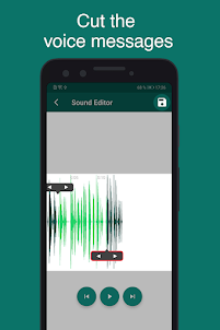 WASound - Voice Messages Sound