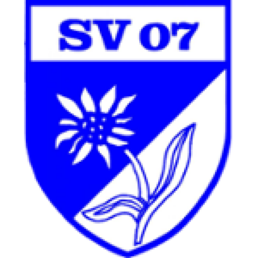 Moringen logo