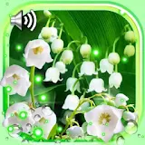 Forest Lilies LWP icon
