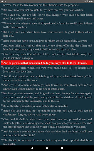 Screenshot 13