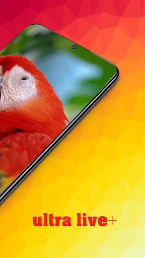 Dandelion Live Wallpaper