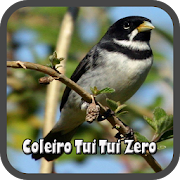 Top 35 Music & Audio Apps Like Canto Coleiro Tui Tui Zero HD - Best Alternatives
