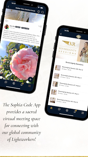 The Sophia Code Screen 2