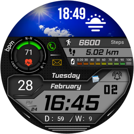 FSW223 Watchface logo