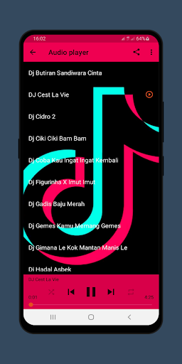 Dj Saya Masih Ting Ting Offline Full Album 2021