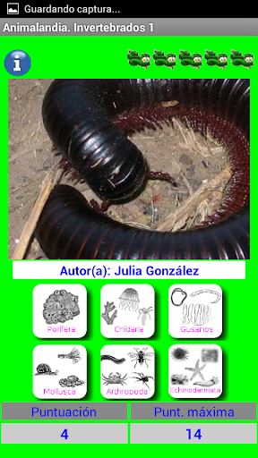 Animalandia Invertebrados 1 Screen 3